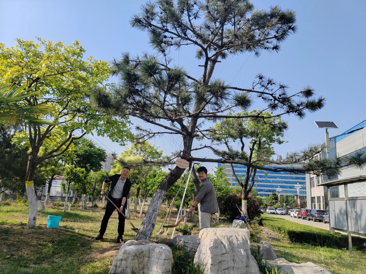 微信圖片_20250506085505(1) 微信圖片_20250506085505(1)